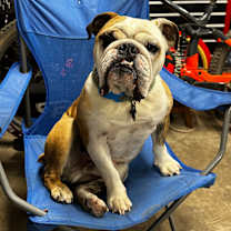 Thumbnail photo of Monty #4