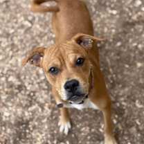 Thumbnail photo of Sachi #4