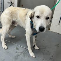 Thumbnail photo of James Baxter #2