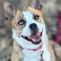 Thumbnail photo of Holiday #4