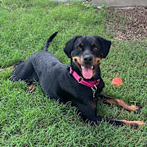 Thumbnail photo of Ada #1