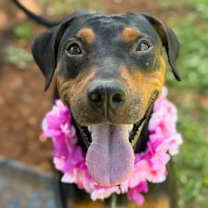 Thumbnail photo of Bianca #1