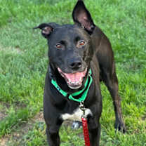 Thumbnail photo of Keydah #1