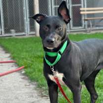 Thumbnail photo of Keydah #3