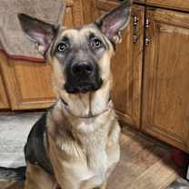 Thumbnail photo of Bo Nix #3