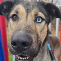 Thumbnail photo of Delta #3