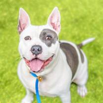 Thumbnail photo of QUEENIE #1