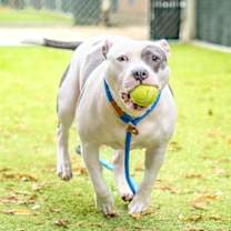 Thumbnail photo of QUEENIE #3