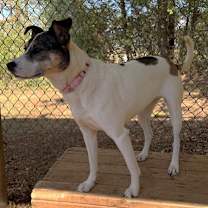 Thumbnail photo of Luna #3