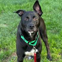 Thumbnail photo of Keydah #2