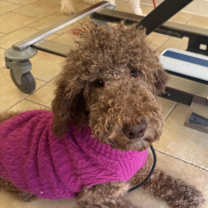 Thumbnail photo of Tom Haverford’ #3