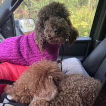 Thumbnail photo of Tom Haverford’ #4