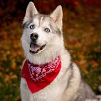 Thumbnail photo of Randall #2