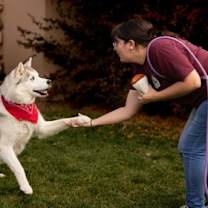 Thumbnail photo of Randall #3