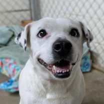 Thumbnail photo of Daisy Grace #1