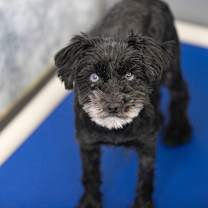 Thumbnail photo of Fame (JN25-482) #1