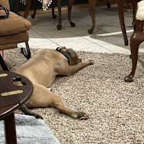 Thumbnail photo of Rory #3