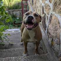 Thumbnail photo of Rory #2