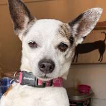 Thumbnail photo of Parker #1