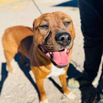 Thumbnail photo of Carl #1