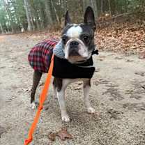 Thumbnail photo of Zyon #2