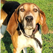 Thumbnail photo of River #1