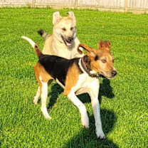 Thumbnail photo of River #2