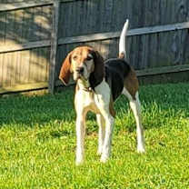 Thumbnail photo of River #3