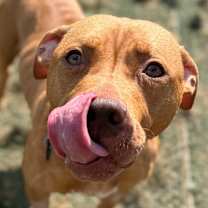 Thumbnail photo of Valentina/Mom  #2