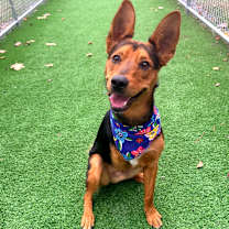 Thumbnail photo of Tres #4