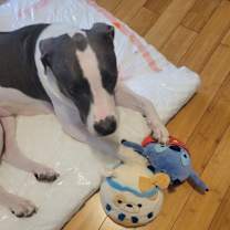 Thumbnail photo of Yogurt #4