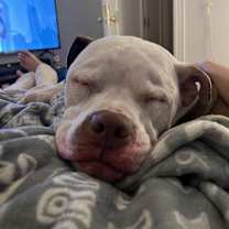 Thumbnail photo of Champ #3