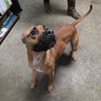 Thumbnail photo of Led Zeppelin #2