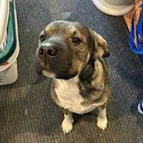 Thumbnail photo of Hannah #4