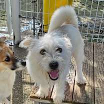 Thumbnail photo of Saehae #1