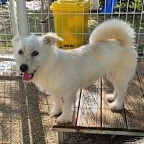 Thumbnail photo of Saehae #2