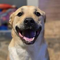 Thumbnail photo of Sandy #1