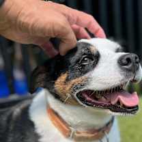 Thumbnail photo of Oakley #2