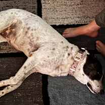 Thumbnail photo of Midnight #2