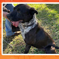 Thumbnail photo of Luna #2