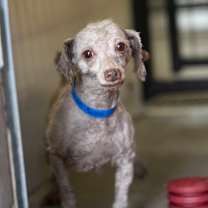 Thumbnail photo of Thomas (OT25-139) #2