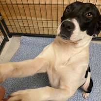 Thumbnail photo of Jubilee #3