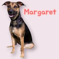 Thumbnail photo of Margaret #1