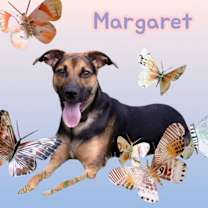 Thumbnail photo of Margaret #2