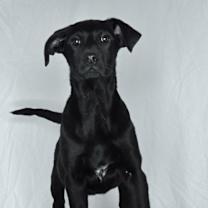 Thumbnail photo of Jayla #2