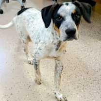 Thumbnail photo of Buff #1