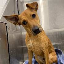 Thumbnail photo of Mikki  #1