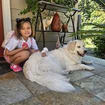 Thumbnail photo of Prya #1