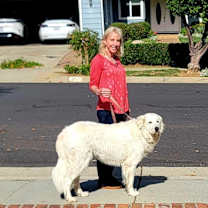 Thumbnail photo of Prya #2