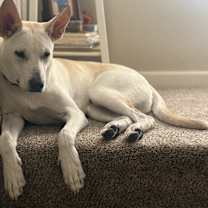 Thumbnail photo of Sol #1